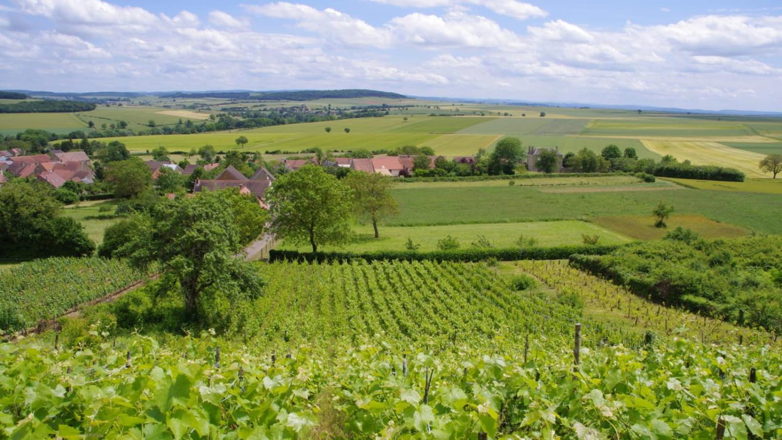 Le Cocon Tannaysien Villa Tannay  Exterior photo